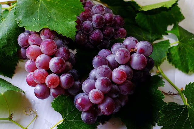 MBS grapes